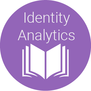 Identity Analytics - icon