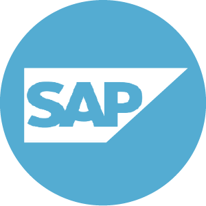 SAP data loading: accounts, roles and transaction - icon